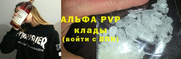 твердый Бородино