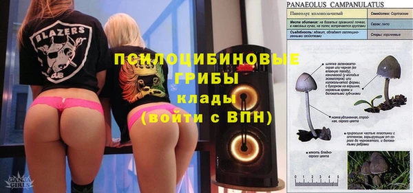 дмт Магас