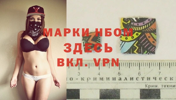 дмт Магас