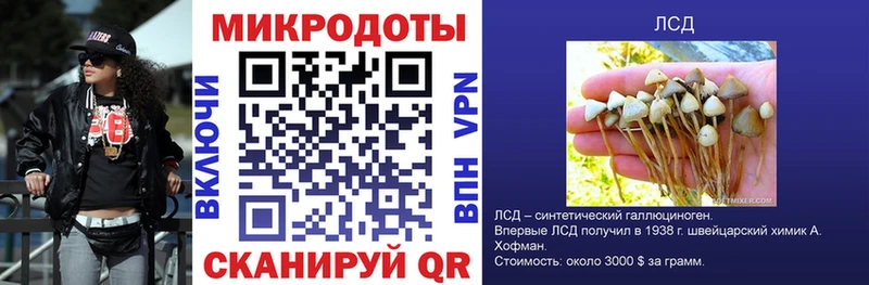 Галлюциногенные грибы Psilocybe  где купить наркотик  Кочубеевское 